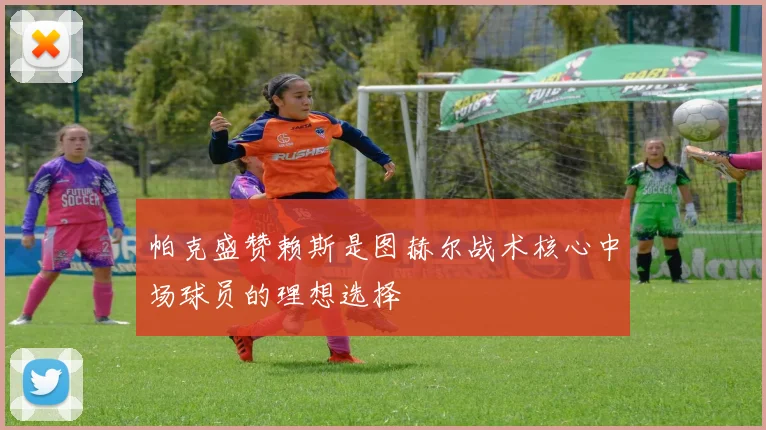 帕克盛赞赖斯是图赫尔战术核心中场球员的理想选择